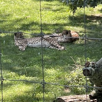 Southwick's Zoo - Amusement Parks Near Me - Mendon, Massachusetts