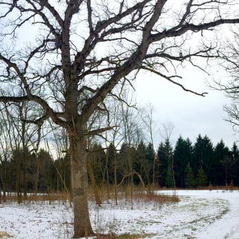 St James Farm Preserve - Parks Near Me - Warrenville, Illinois St James Farm Preserve - Parks Near Me - Warrenville, Illinois