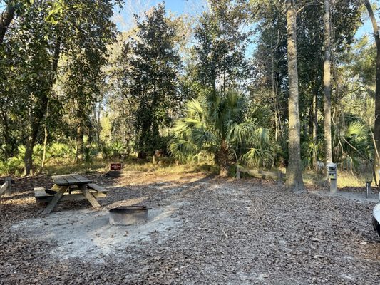 Manatee Springs by null