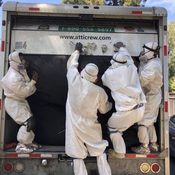 Attic Crew - Power Team - Pest Control Near Me - Renton, Washington