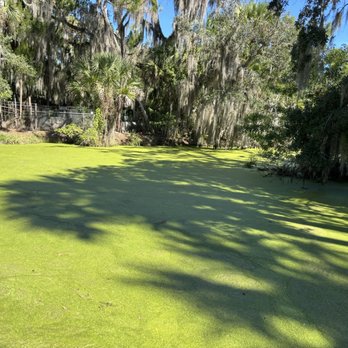 Jungle Adventures - Tours Near Me - Christmas, Florida Jungle Adventures - Tours Near Me - Christmas, Florida