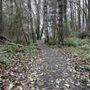 Photo of The Karen Fraser Woodland Trail