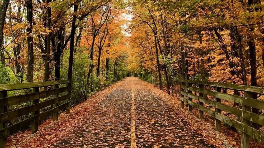 Sycamore Center For Assessment And Psychological Services - grief counselor in Carmel, IN