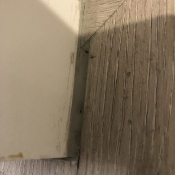 Flooring Discount Center - Another cut where you can see the corner piece is too large and caulking was used to fill the gap. - Flooring Near Me - Santa Ana, California