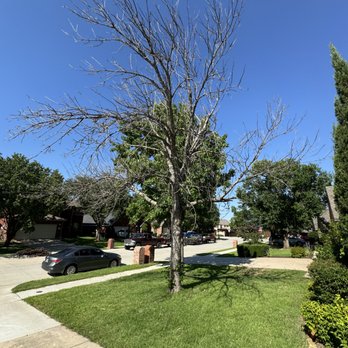 Red's Commercial Services - Lawn Services Near Me - Corinth, Texas