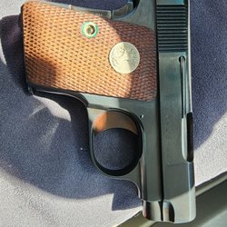 Cavella’s Guns