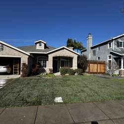 Deniz Gardening Services - 700sqft of fresh sod laid down