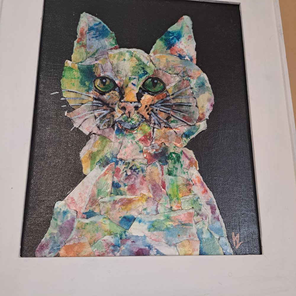 ACT Spay & Neuter Clinic - social services organization in Stockton, CA