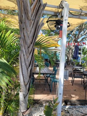 VIP Mexican American Cuisine IRB by null