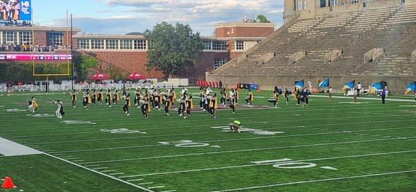 Harvard Stadium by null