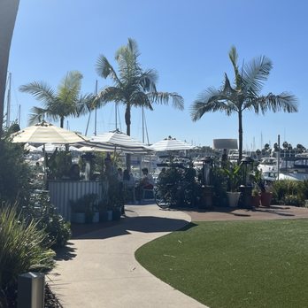 SALT Restaurant and Bar - The grounds - New American Near Me - Marina del Rey, California SALT Restaurant and Bar - The grounds - New American Near Me - Marina del Rey, California