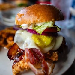 Conch Republic Seafood - Island Chicken Sandwich