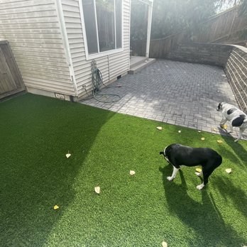Grassroots Construction - Turf - Landscaping Near Me - Lake Oswego, Oregon