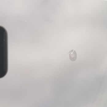Cal Bay Auto Glass - After it was done. Not perfect, but much improved. - Auto Glass Services Near Me - Hayward, California Cal Bay Auto Glass - After it was done. Not perfect, but much improved. - Auto Glass Services Near Me - Hayward, California
