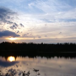 Furudal bruk