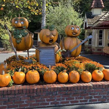 Dollywood - Amusement Parks Near Me - Pigeon Forge, Tennessee