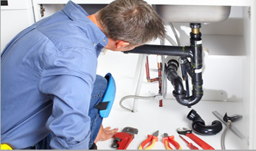 Slide of Edmond J Adams & Sons