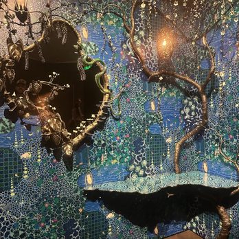 Denver Art Museum - Biophilia exhibit - Art Galleries Near Me - Denver, Colorado