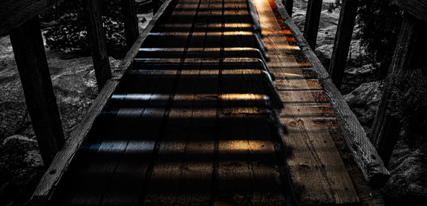 Bartusek Photography