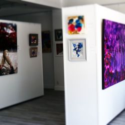 The Bula Barua Gallery