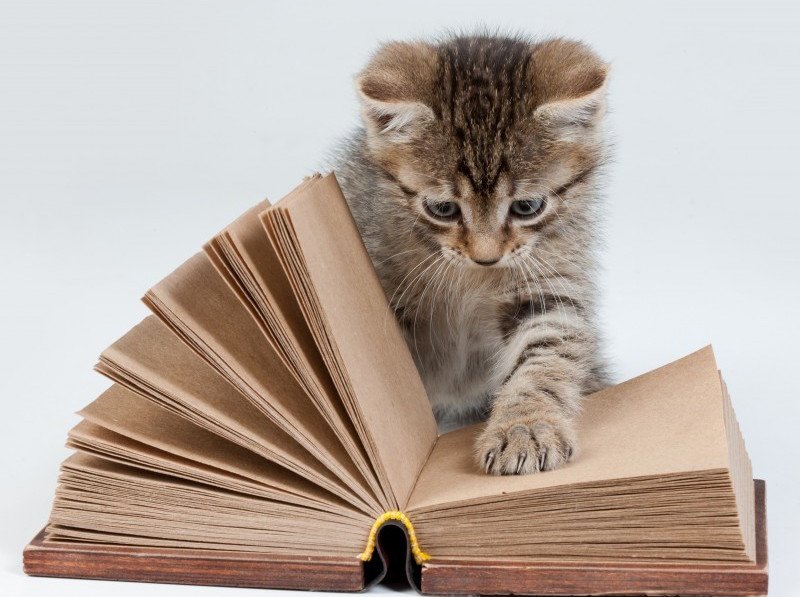 YOUR BINDERY FINISHING Updated August 2024 1130 W Virginia Ave, Denver, Colorado