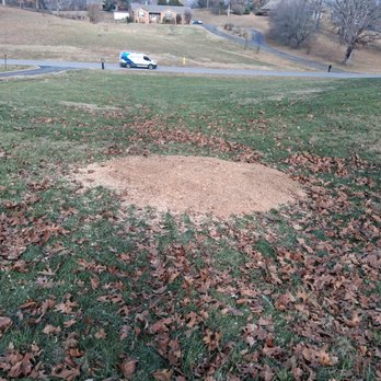 Trinity Works - Tree Services Near Me - Hanson, Kentucky Trinity Works - Tree Services Near Me - Hanson, Kentucky