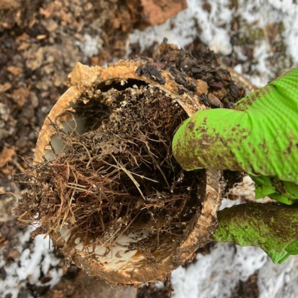 Slide of Roto-Rooter Plumbing & Drain Service