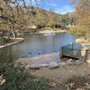 Photo of Oak Canyon Community Park