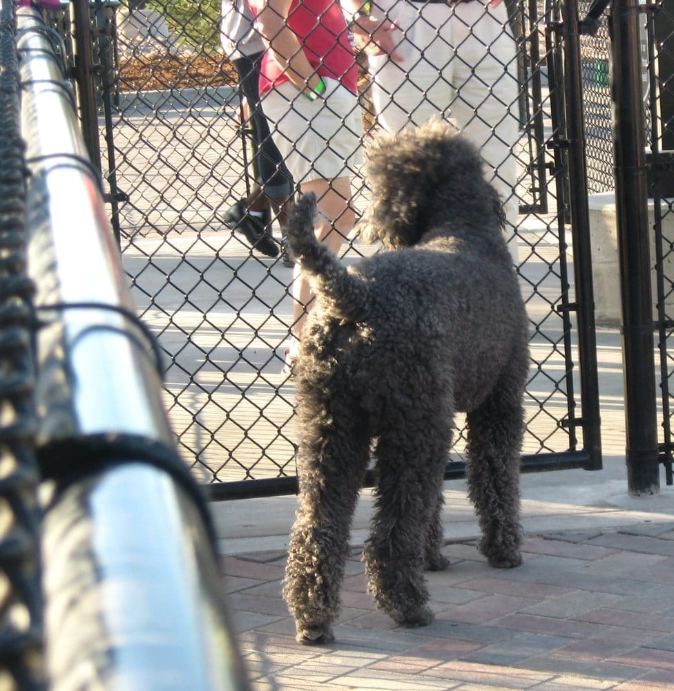 Railyard Dog Park Logo
