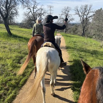 Boarding On The Lake - Horseback Riding Near Me - Granite Bay, California