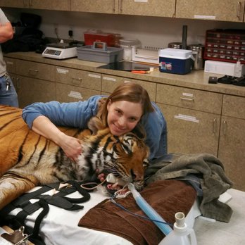 Compass Veterinary Clinic - Dr Erica Lipanovich - Veterinarians Near Me - Lake Oswego, Oregon Compass Veterinary Clinic - Dr Erica Lipanovich - Veterinarians Near Me - Lake Oswego, Oregon
