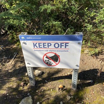 Dog Mountain - No stepping on alpine ecosystems allowed~ - Hiking Near Me