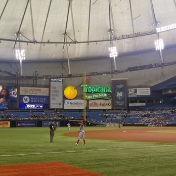 Tampa Bay Rays - Professional Sports Teams Near Me - St. Petersburg, Florida Tampa Bay Rays - Professional Sports Teams Near Me - St. Petersburg, Florida