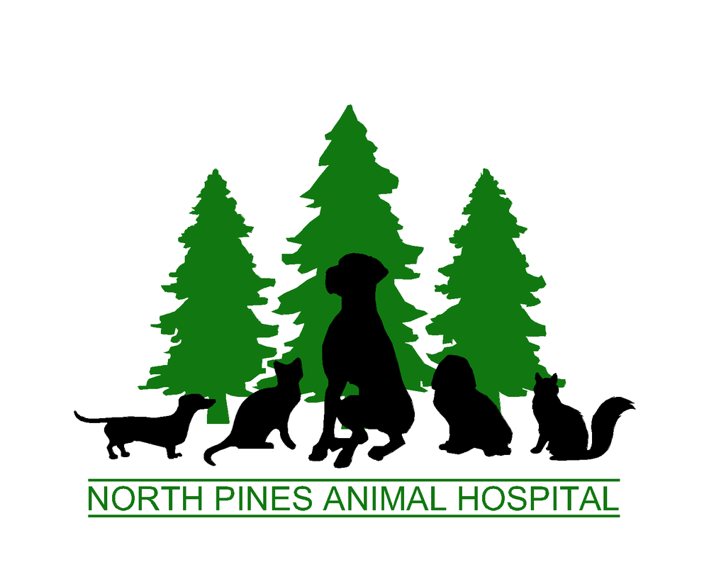 NORTH PINES ANIMAL HOSPITAL Updated September 2024 12628 Fm 1097 W