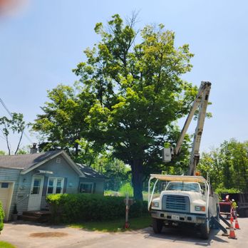 J & J Tree Services - Tree Services Near Me - Herkimer, New York J & J Tree Services - Tree Services Near Me - Herkimer, New York