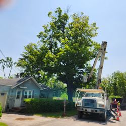 J & J Tree Services