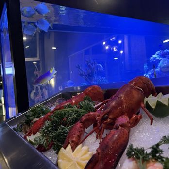 Corvina Seafood Grill - Fresh seafood. Lobster. - Seafood Near Me - Boca Raton, Florida
