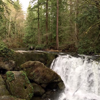 Whatcom Falls Park - The waterfall looks pretty small until you stand right next to it. - Dog Parks Near Me - Bellingham, Washington