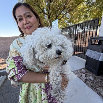 Leashes Pet Salon - Before the groom - Pet Groomers Near Me - North Las Vegas, Nevada Leashes Pet Salon - Before the groom - Pet Groomers Near Me - North Las Vegas, Nevada