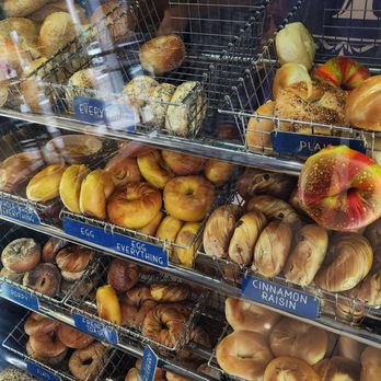 Tulip Bagels - Bagel selection - Bagels Near Me - Floral Park, New York Tulip Bagels - Bagel selection - Bagels Near Me - Floral Park, New York