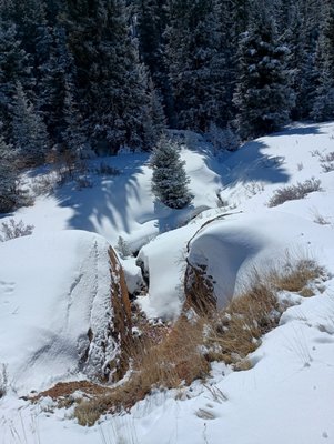 Mueller State Park by null