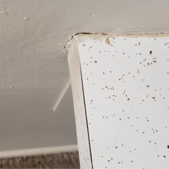 Commons at Kettering by Apartment Management Consultants - Holes in wall. - Apartments Near Me - Kettering, Ohio