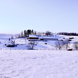 Twilight Farms - Winter time at Twilight Farms!