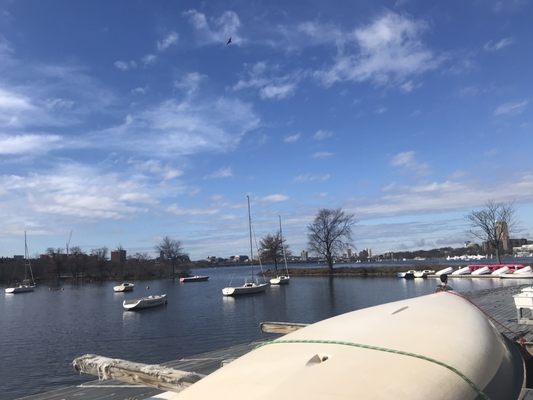 Charles River Esplanade by null
