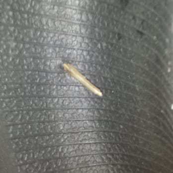 Reed Tires - Thank you for the new to me tire Kevin! In and out in 10 min - Tires Near Me - Greensboro, North Carolina Reed Tires - Thank you for the new to me tire Kevin! In and out in 10 min - Tires Near Me - Greensboro, North Carolina