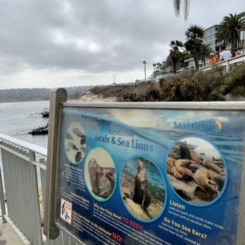 La Jolla Cove - Parks Near Me - La Jolla, California La Jolla Cove - Parks Near Me - La Jolla, California