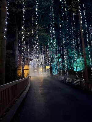 Dollywood's Splash Country by null