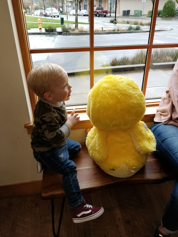 Pediatric Therapy Services - child therapist in Happy Valley, OR