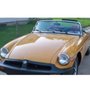 Photo of CAR EFI Auto Repair