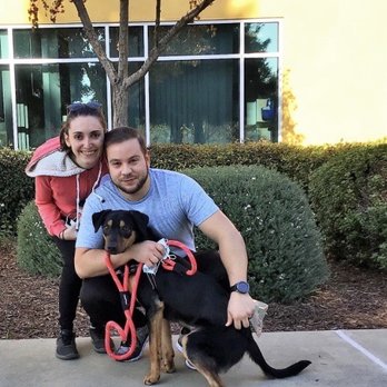 Joybound - Adoption day! - Animal Shelters Near Me - Walnut Creek, California